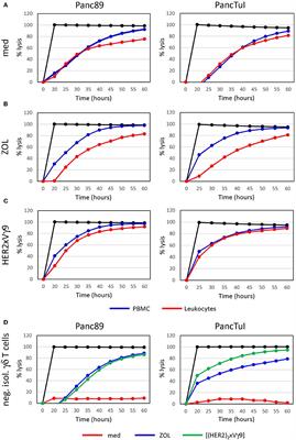 Regulatory Interactions Between Neutrophils, Tumor Cells and T Cells